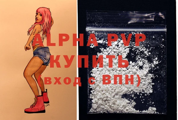 стафф Алексин