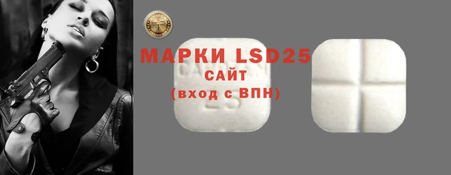тгк Алзамай