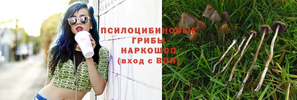 тгк Алзамай