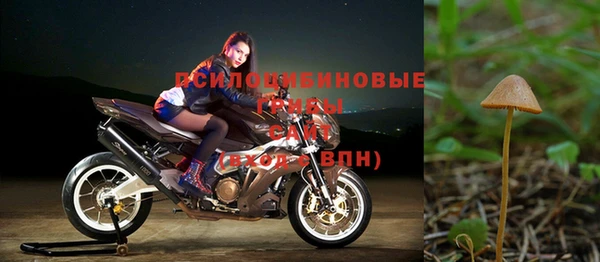 стафф Алексин