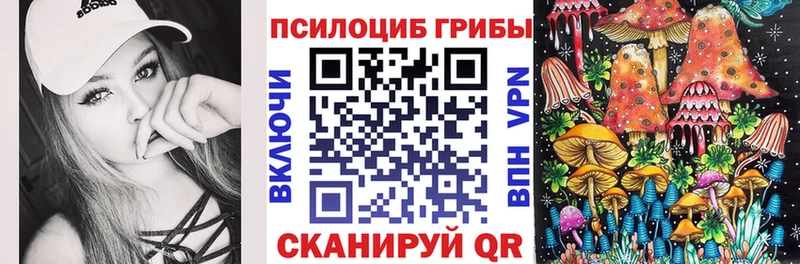 Псилоцибиновые грибы Psilocybine cubensis  Кола 